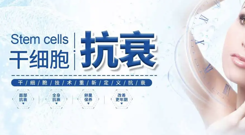 干细胞能延缓机体衰老吗