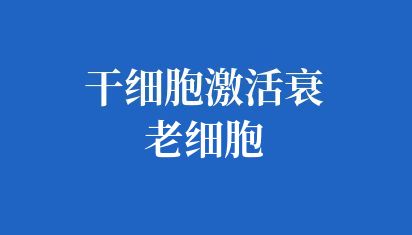 自闭症干细胞有什么关系？